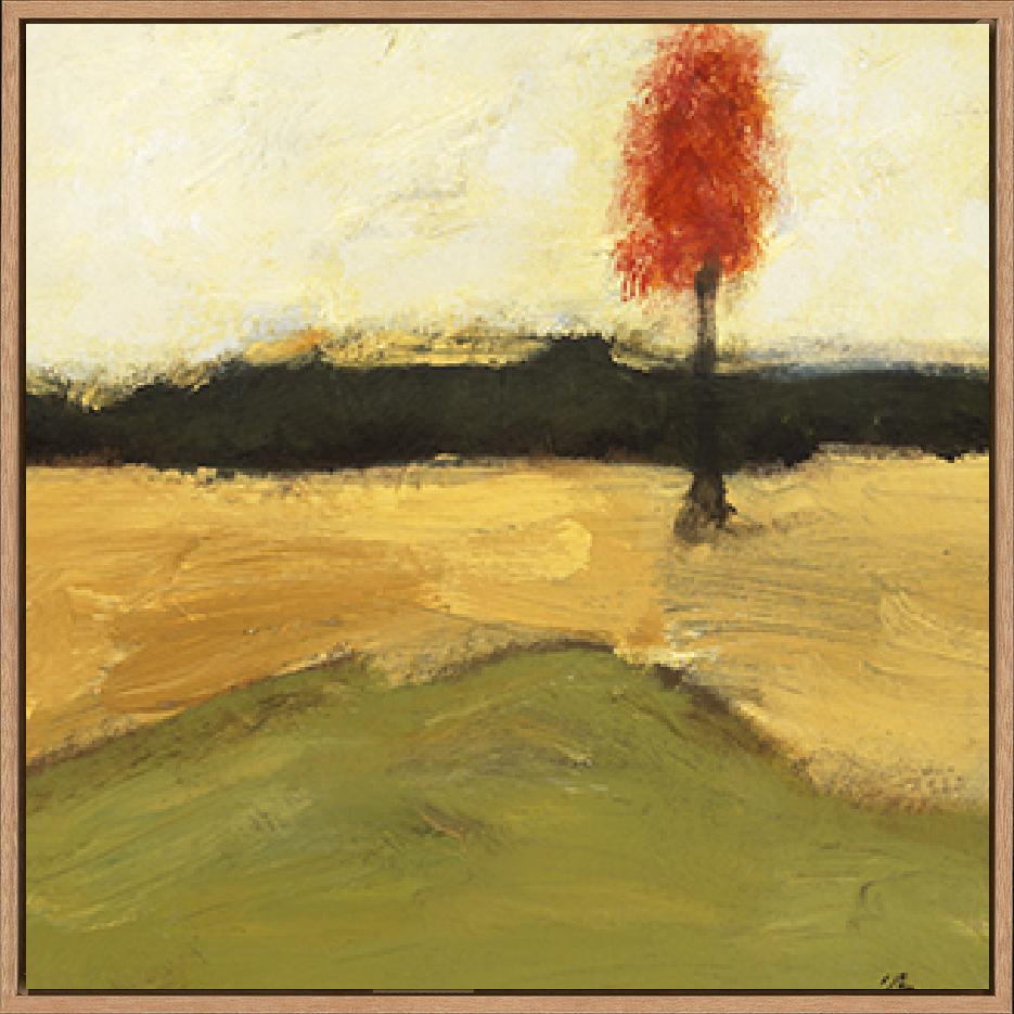 canvas_frame