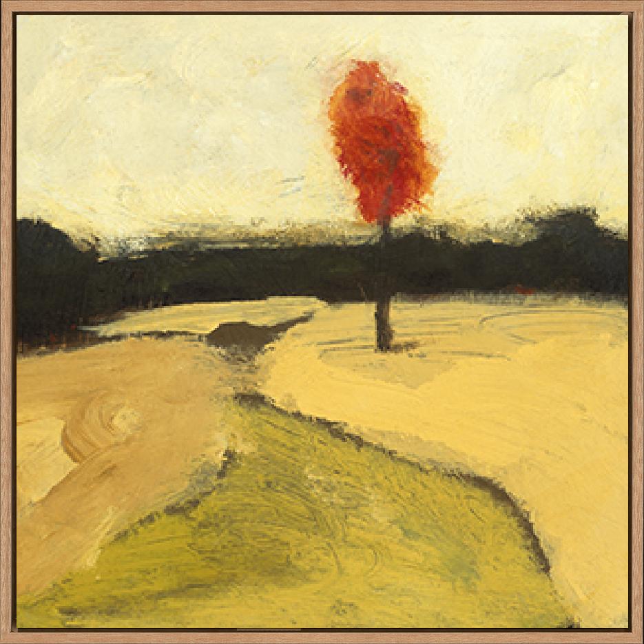 canvas_frame