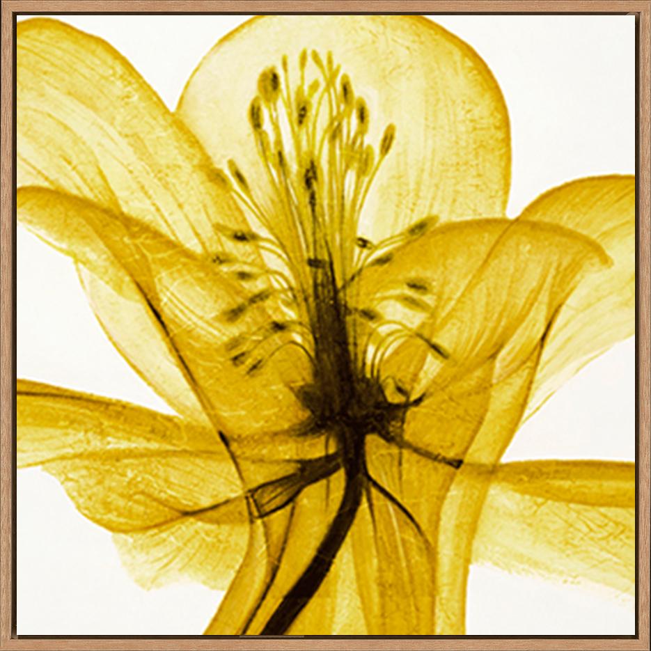 canvas_frame