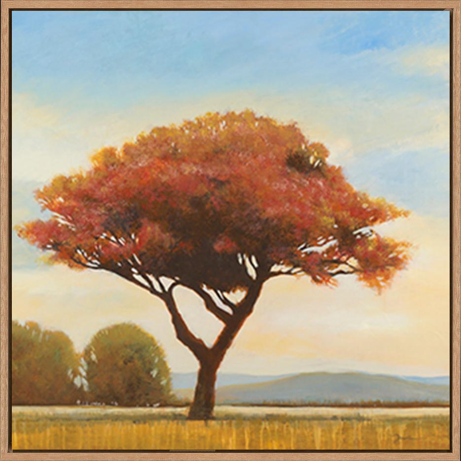 canvas_frame