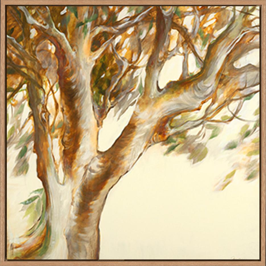 canvas_frame