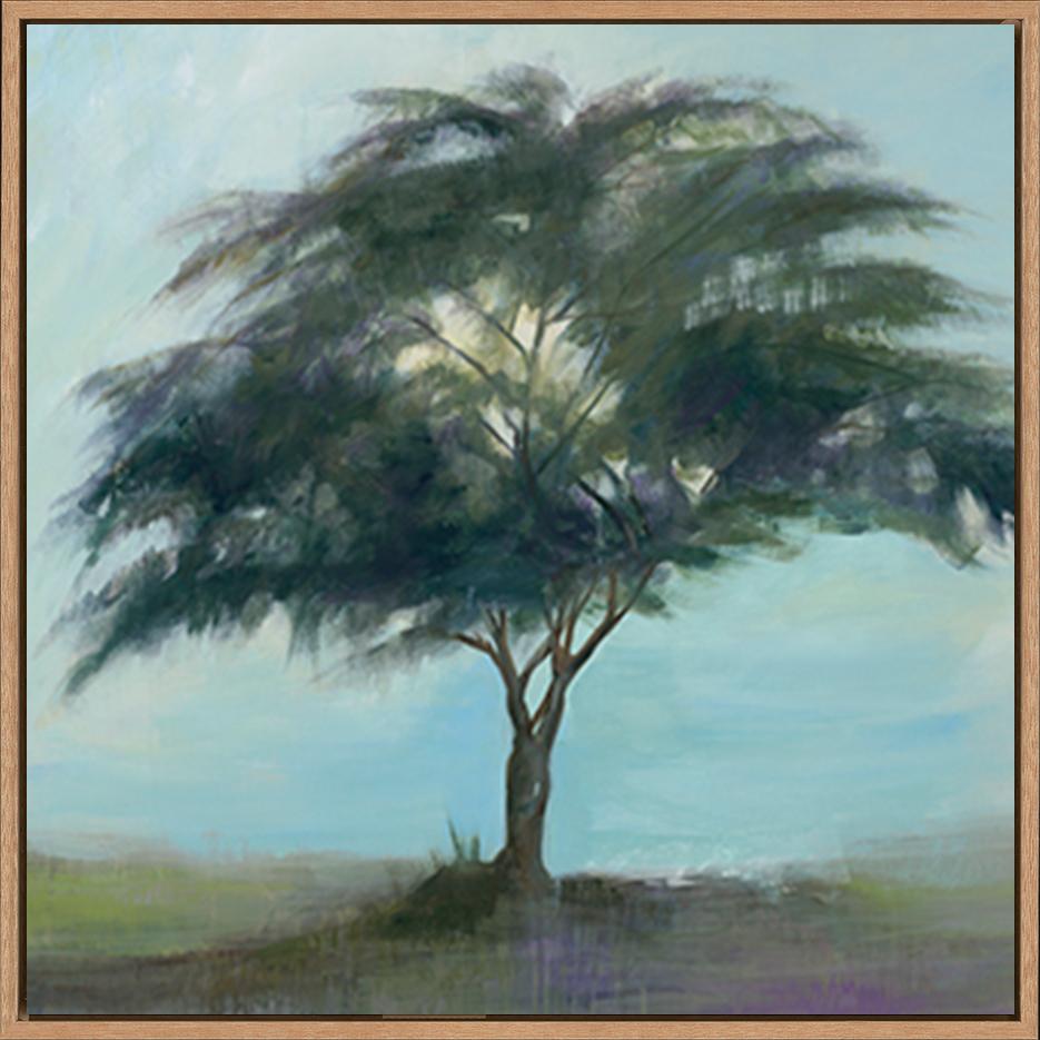 canvas_frame
