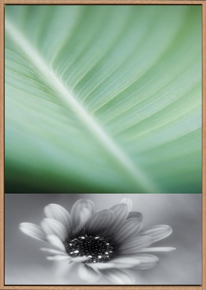 canvas_frame