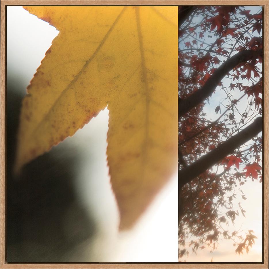 canvas_frame