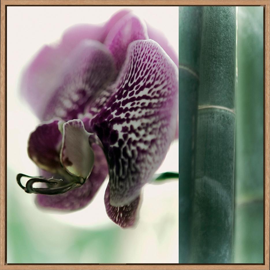 canvas_frame