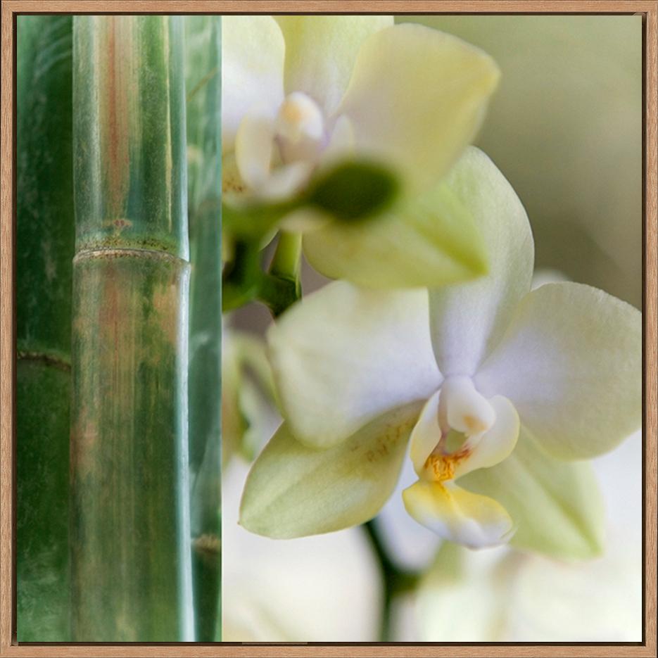 canvas_frame