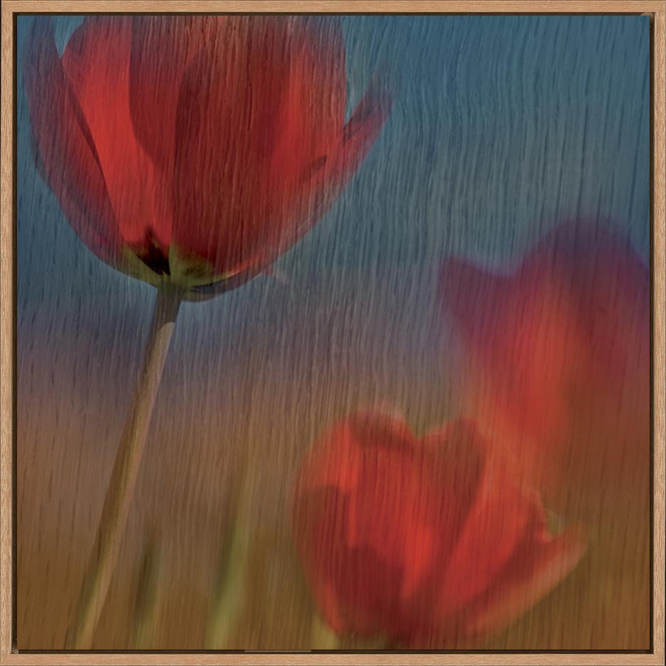 canvas_frame
