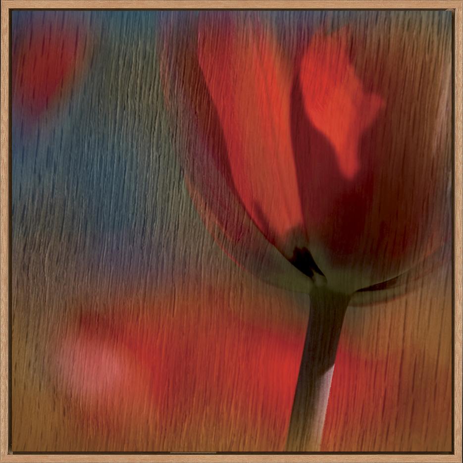 canvas_frame