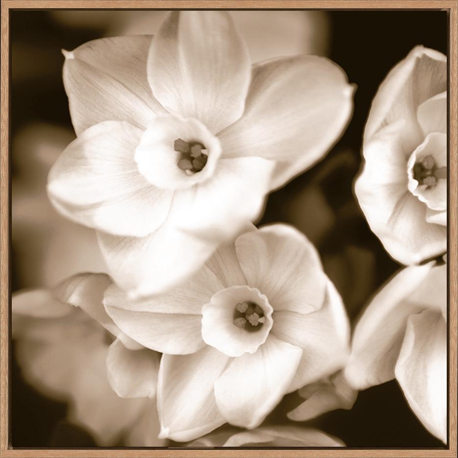 canvas_frame