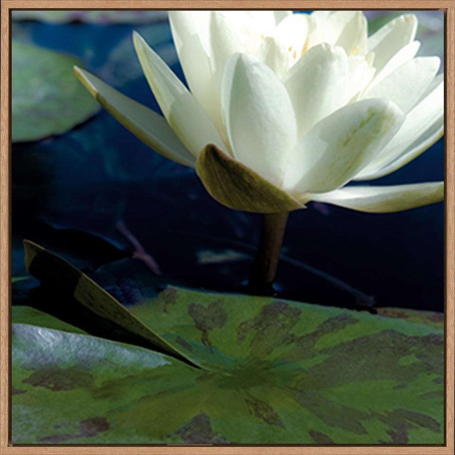 canvas_frame