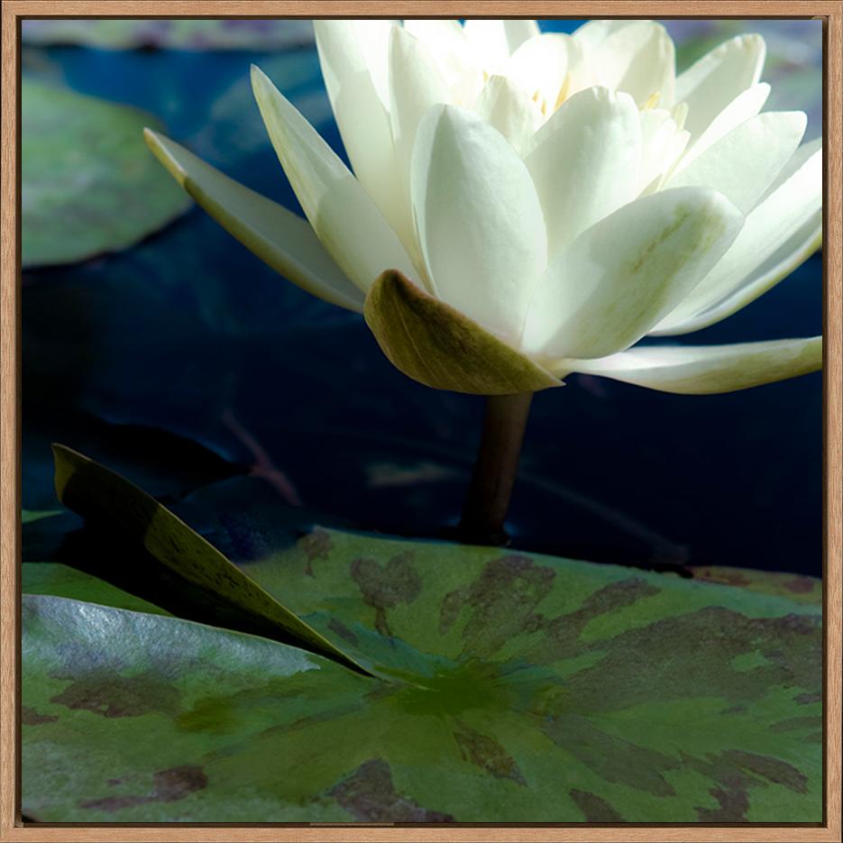 canvas_frame