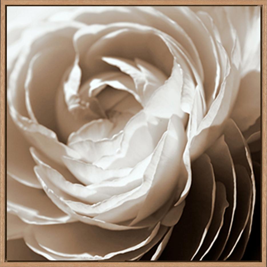 canvas_frame