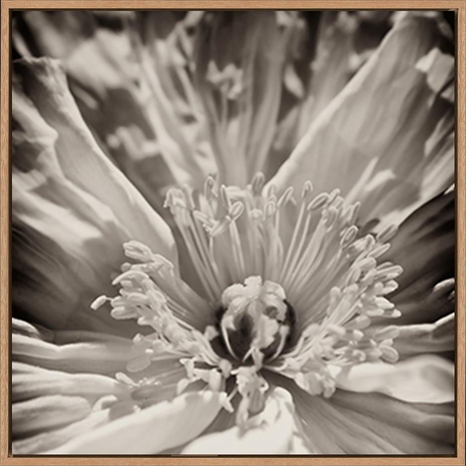 canvas_frame