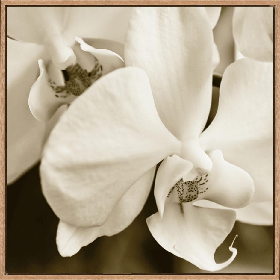 canvas_frame