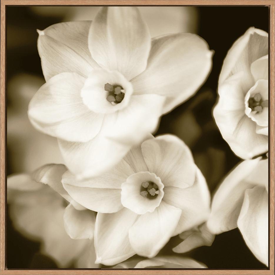 canvas_frame