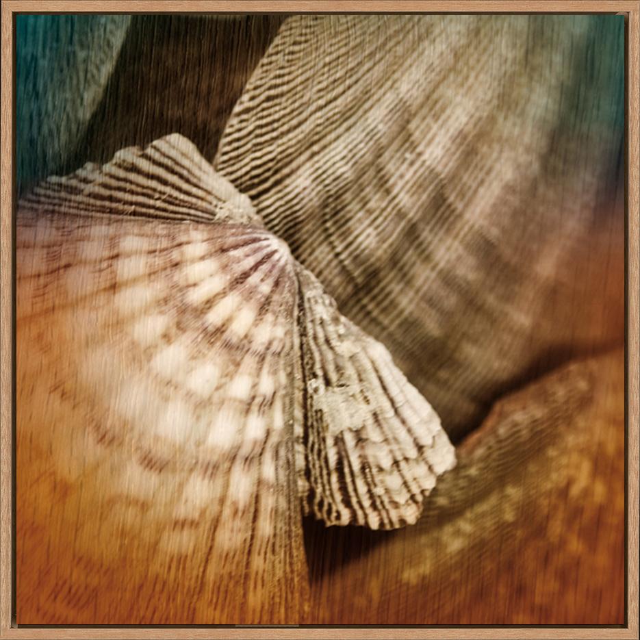 canvas_frame