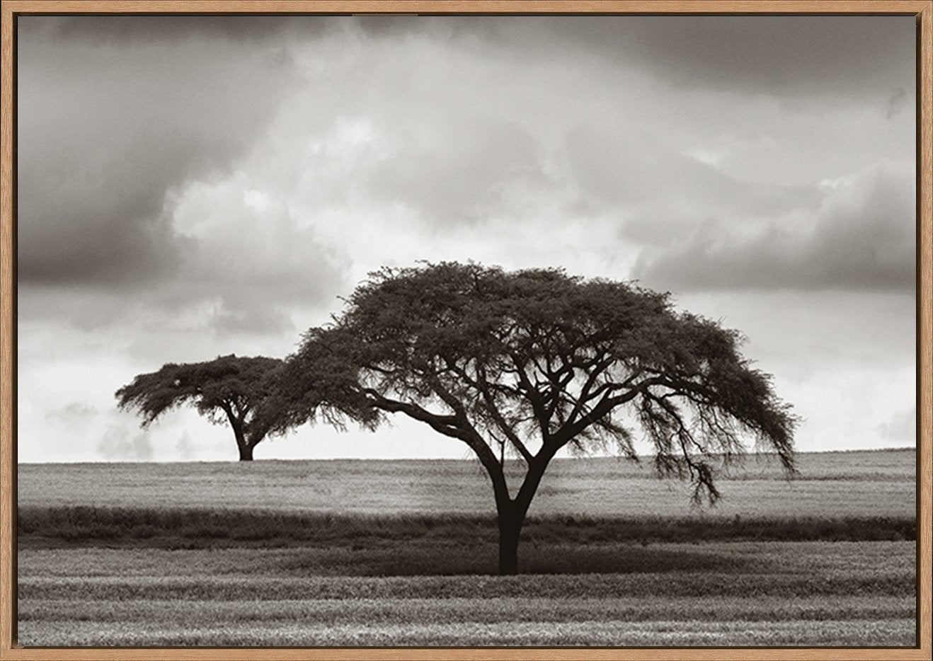 canvas_frame