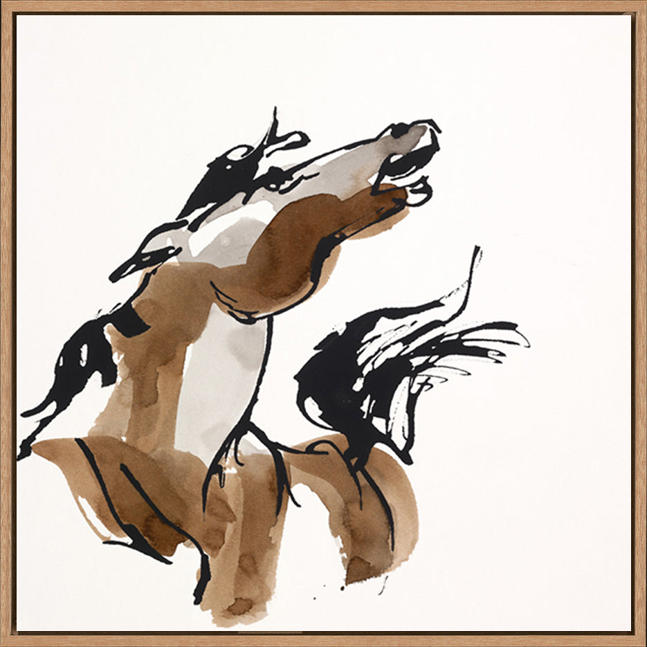 canvas_frame