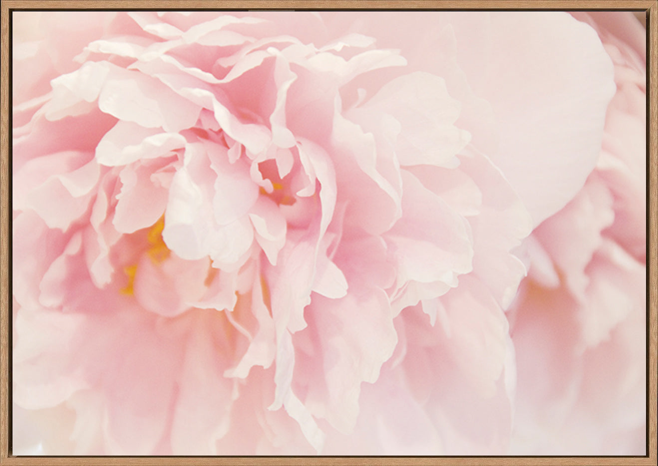 canvas_frame