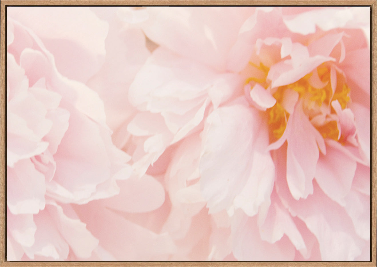 canvas_frame