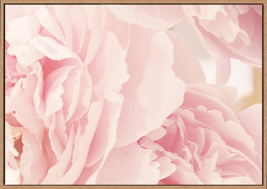 canvas_frame