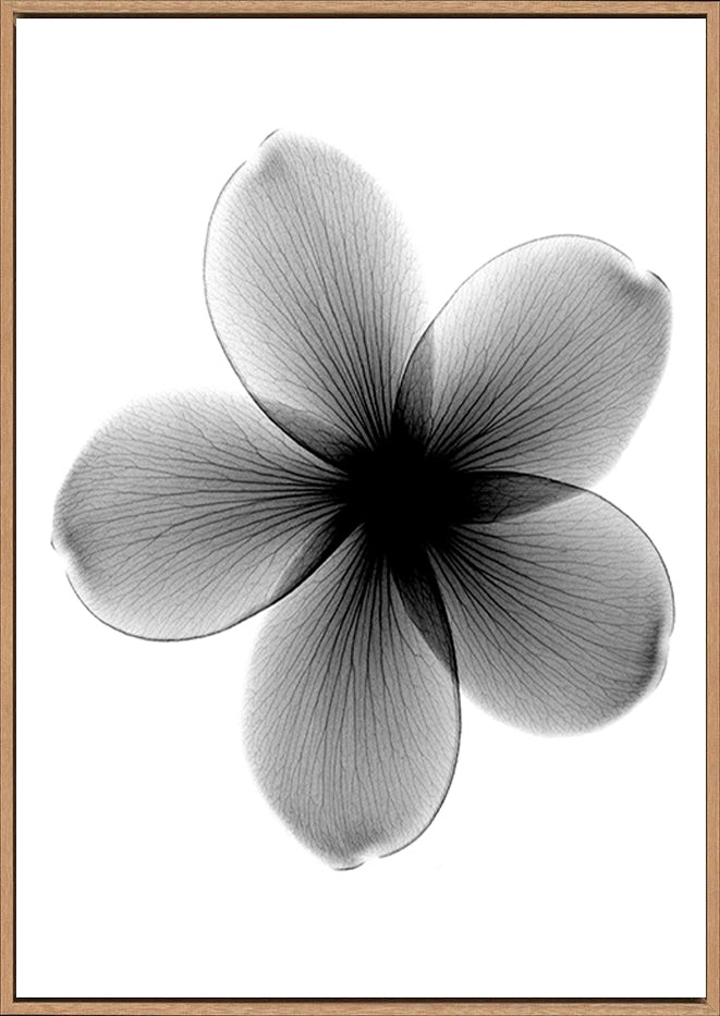 canvas_frame
