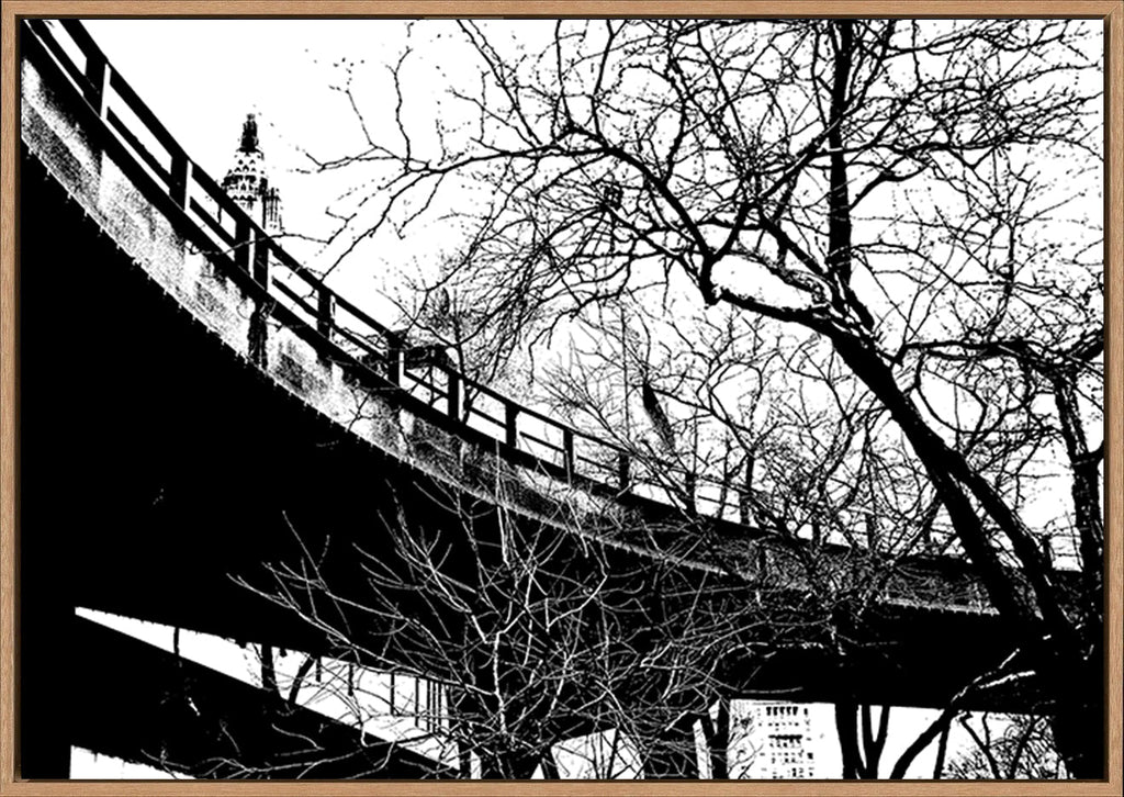 canvas_frame