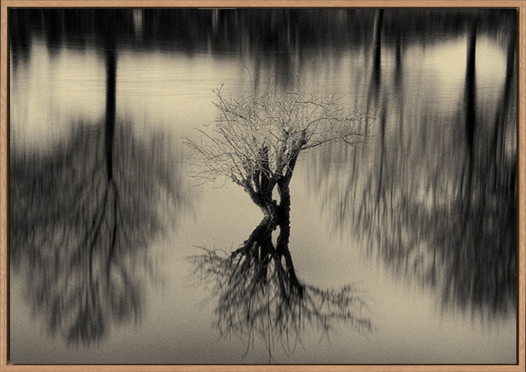 canvas_frame