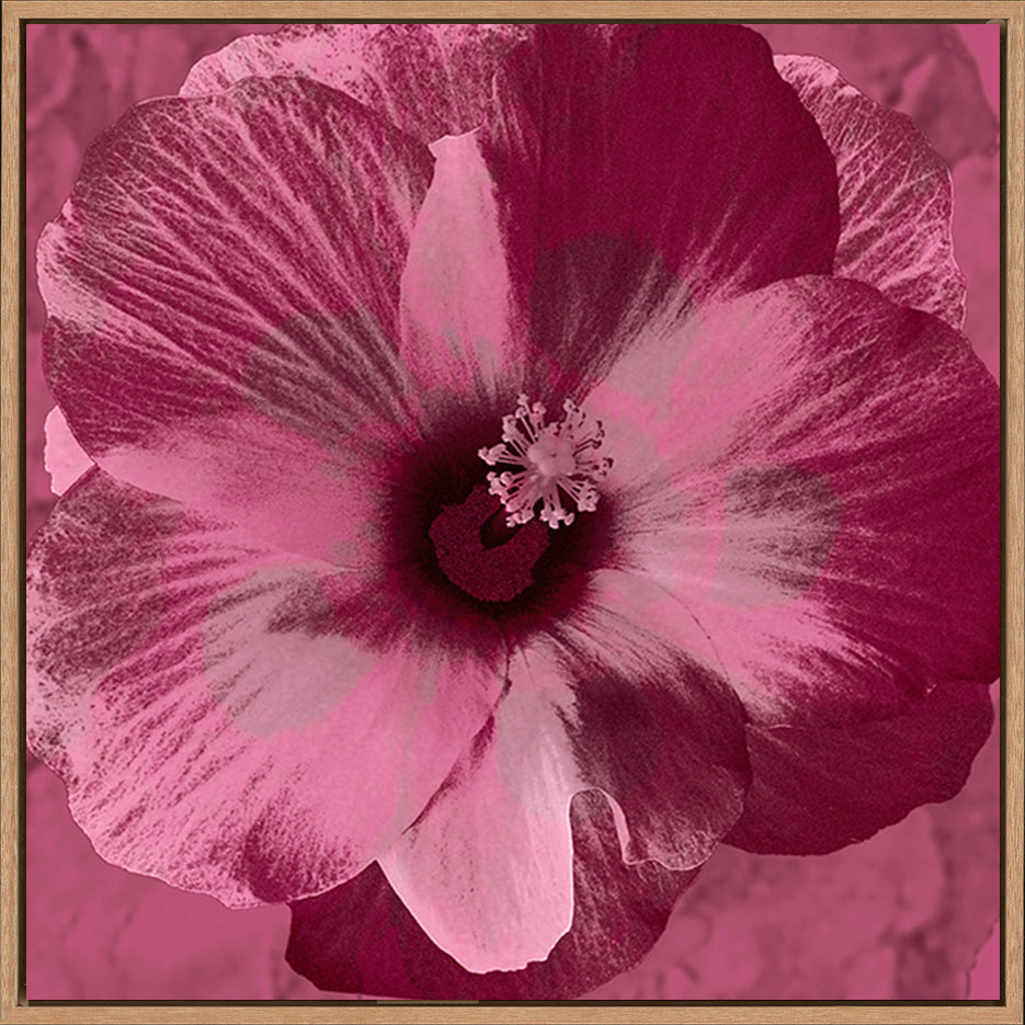 canvas_frame