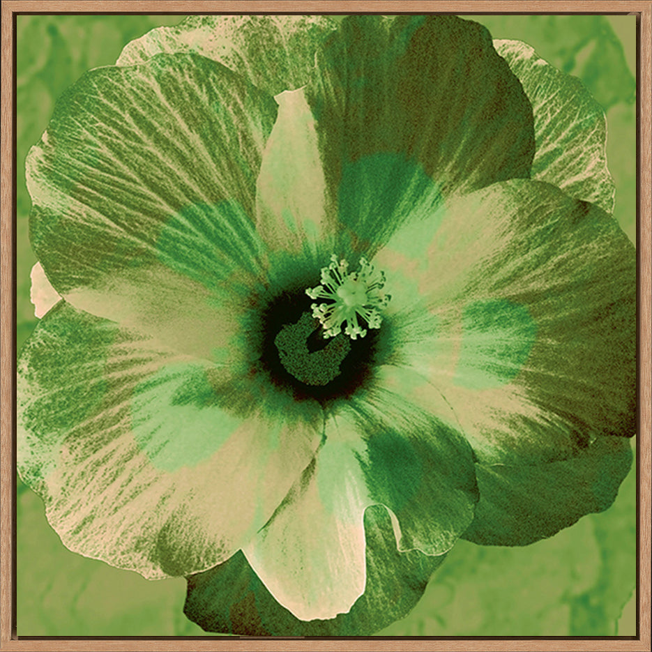 canvas_frame
