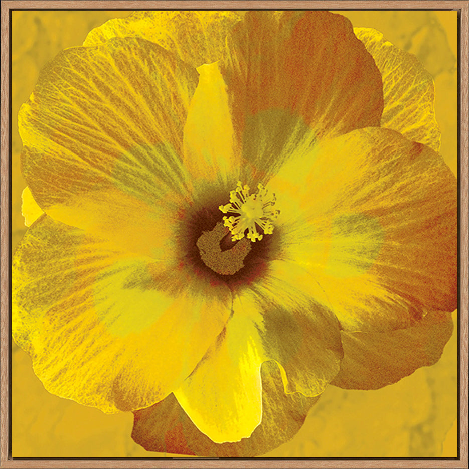 canvas_frame