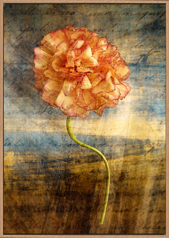 canvas_frame