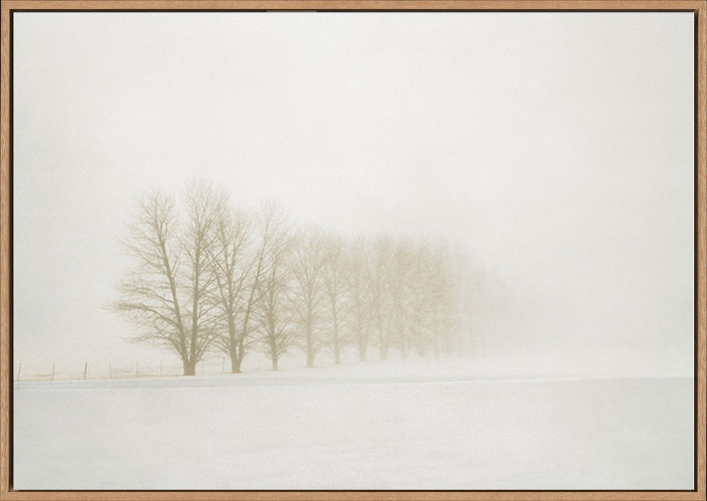 canvas_frame
