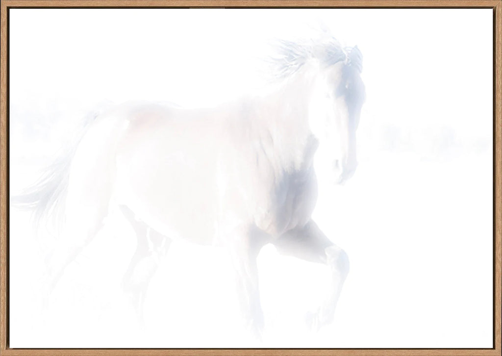 canvas_frame