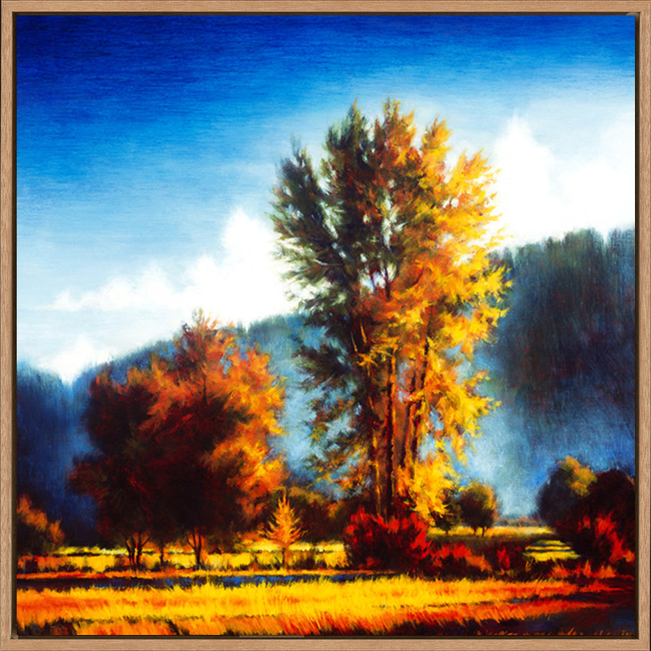 canvas_frame