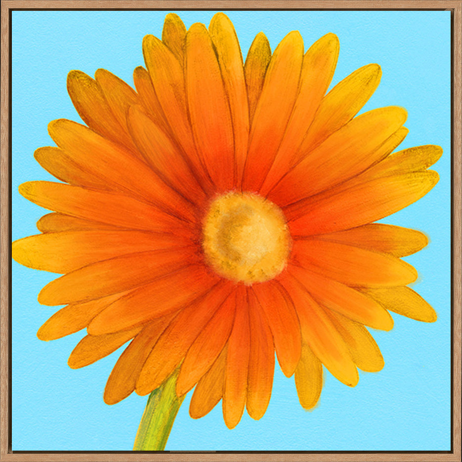 canvas_frame