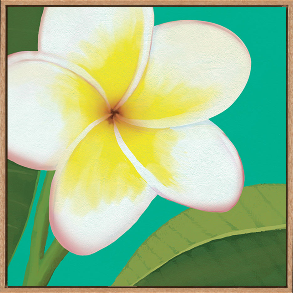 canvas_frame