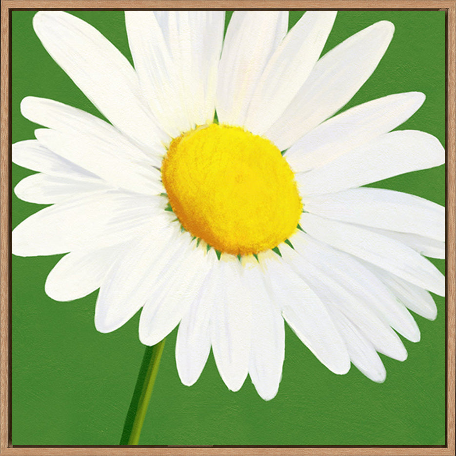 canvas_frame