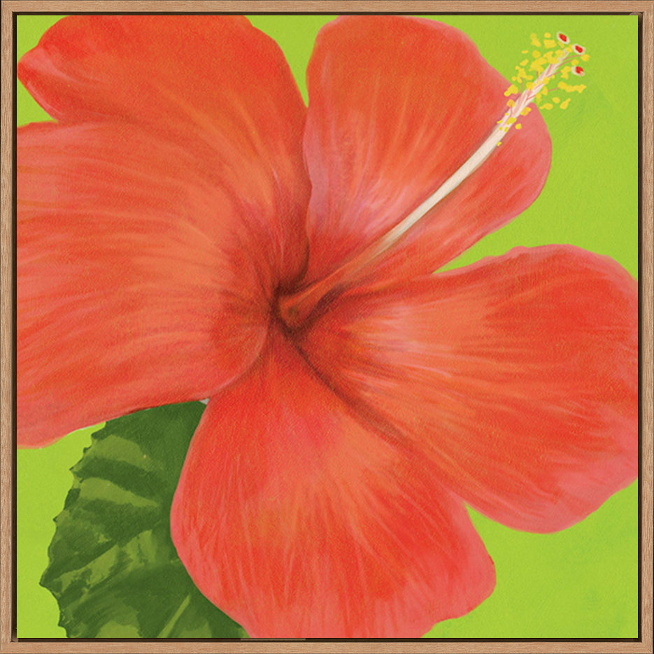 canvas_frame