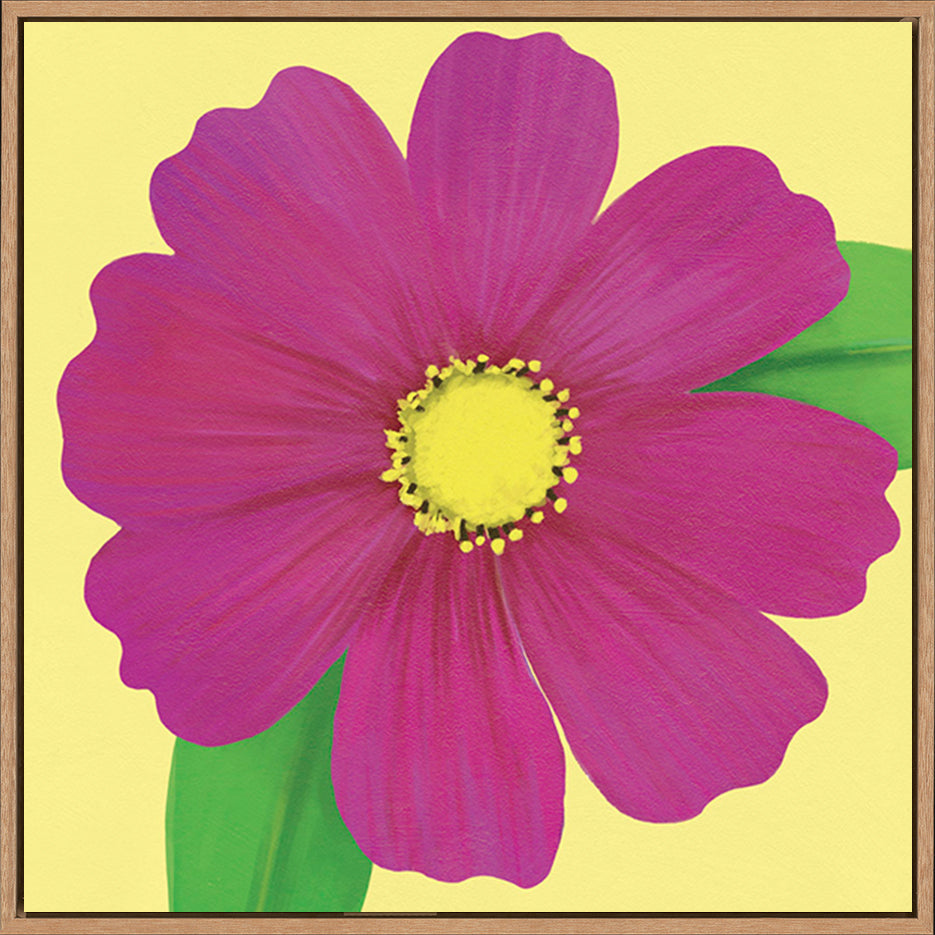 canvas_frame