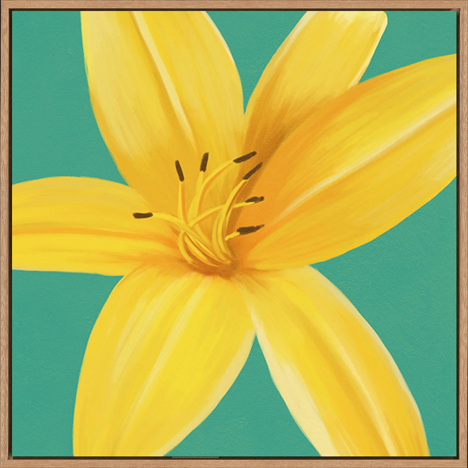 canvas_frame