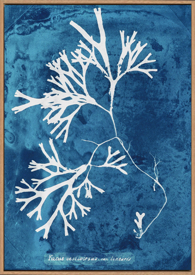 canvas_frame