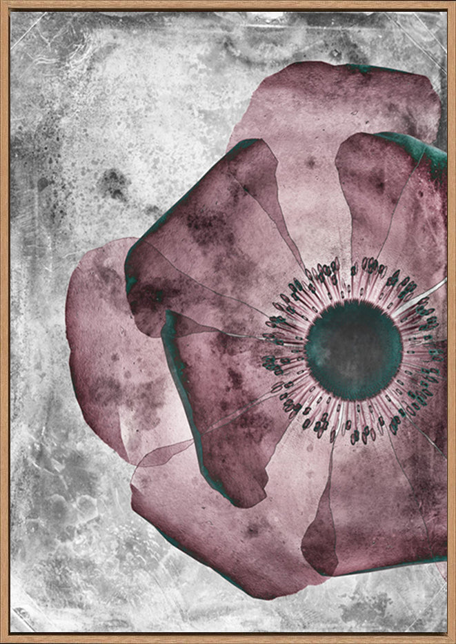 canvas_frame