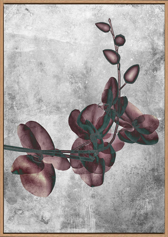 canvas_frame