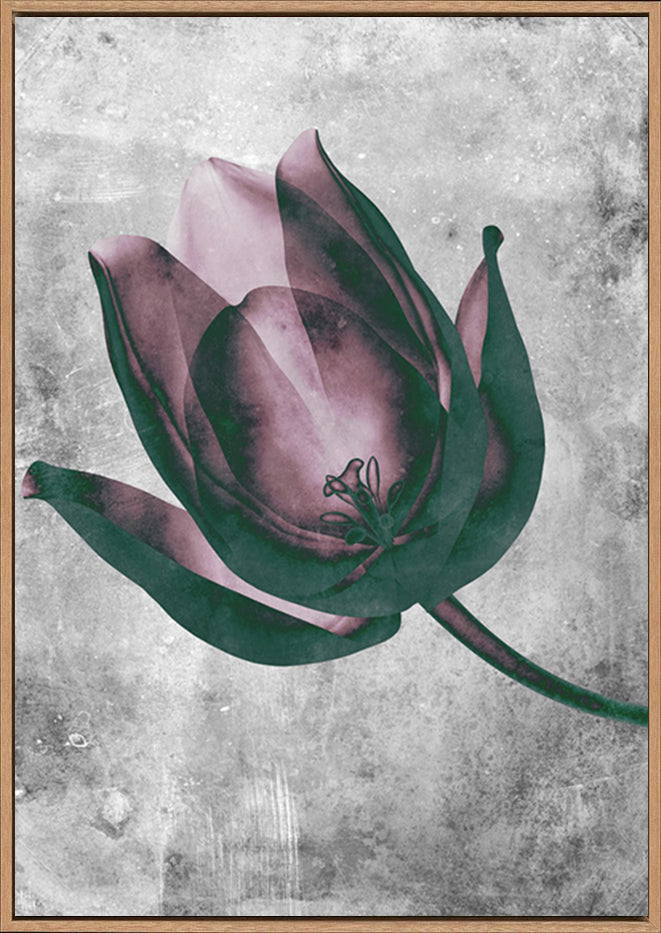 canvas_frame