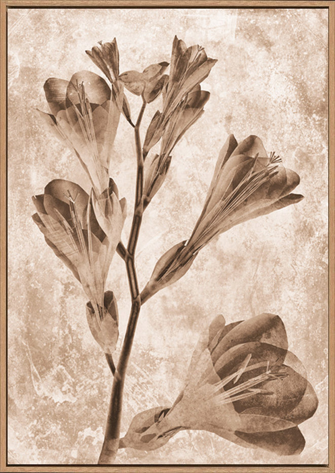 canvas_frame