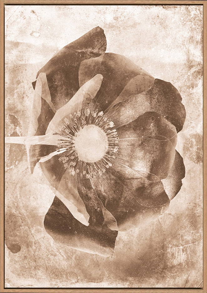 canvas_frame