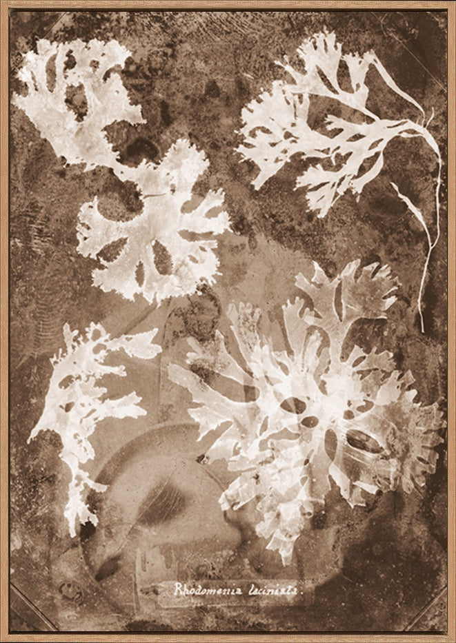 canvas_frame