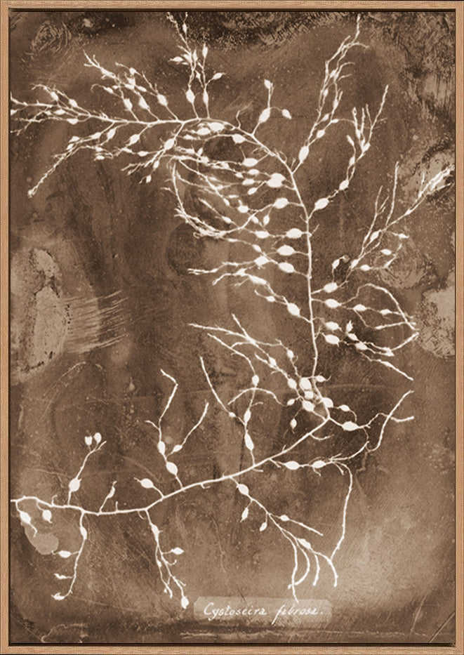 canvas_frame