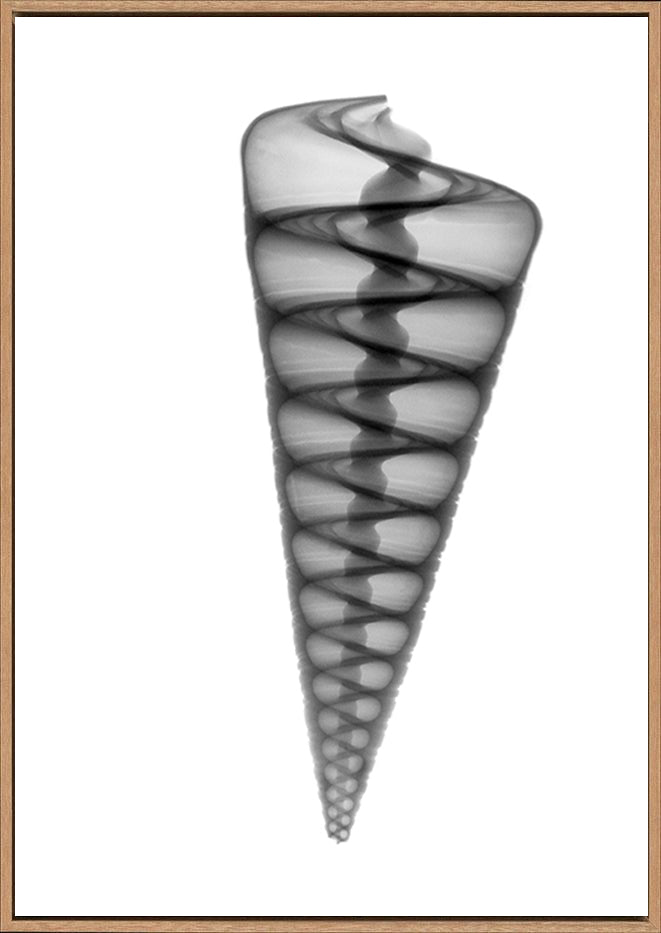 canvas_frame